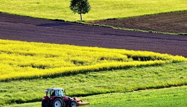 Земельний ринок відновлюється від шоку війни, але у аграріїв залишається цілий ряд проблем – експерти