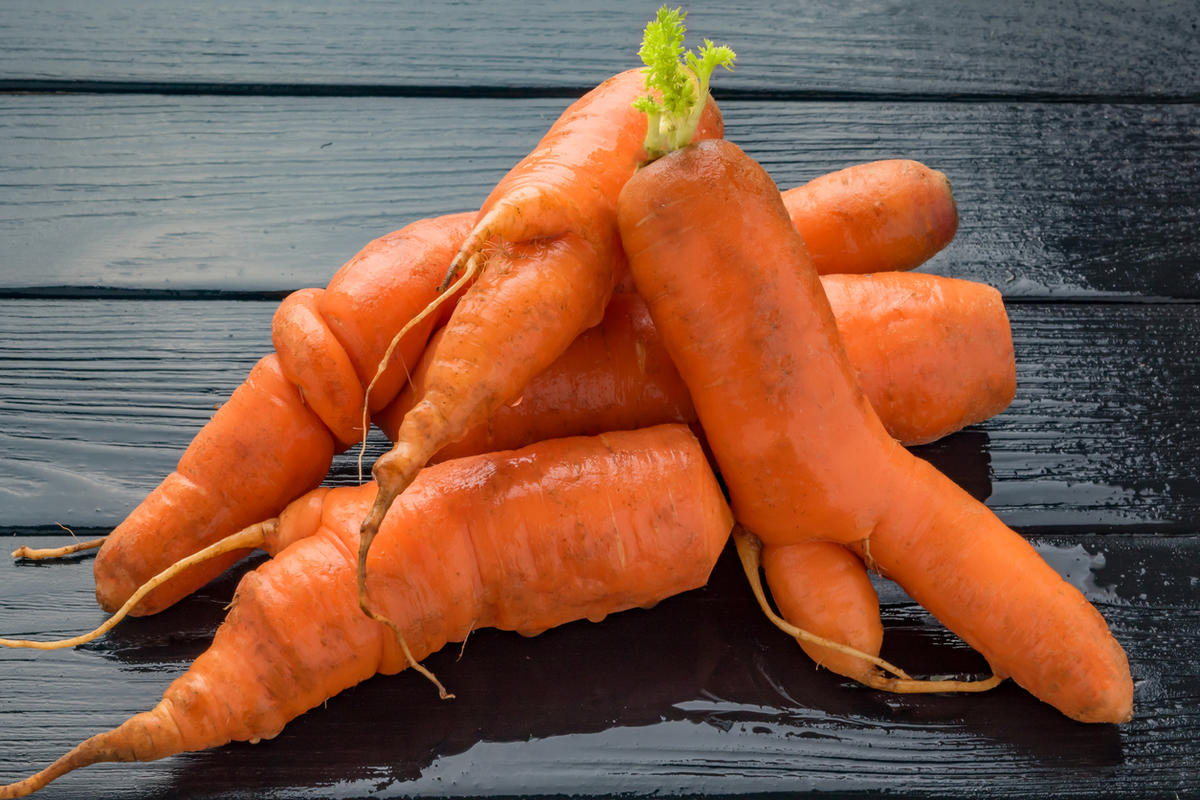 Чому морква виростає рогатою