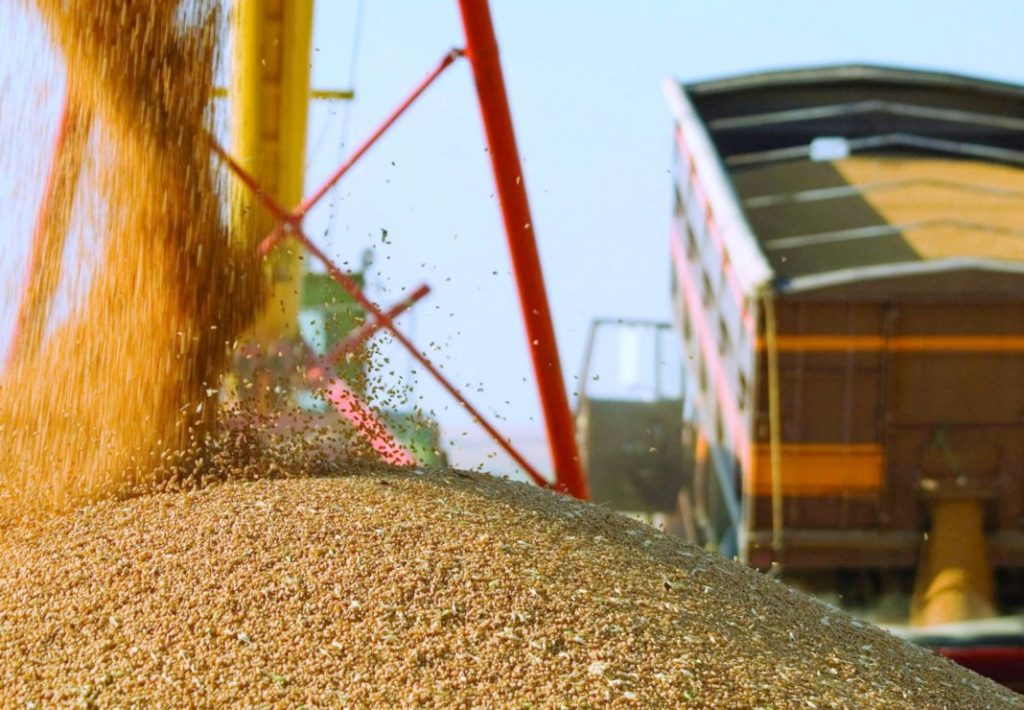 Ціни на пшеницю в українських портах зростають