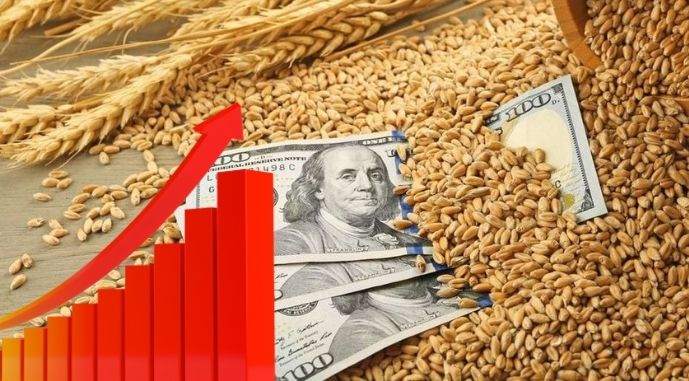 Трейдери очікують зростання цін на пшеницю