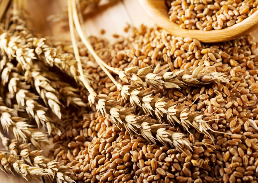 Котирування зернових на світових біржах падають, на українському ринку ціни стабільні