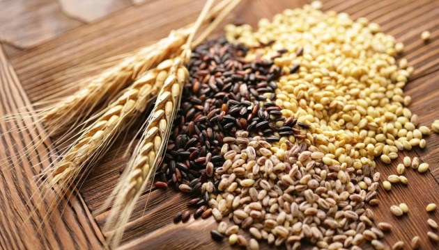 ФАО оголосило тендер на закупівлю насіння ярої пшениці