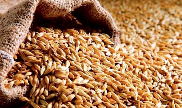 Ціни на пшеницю протягом останніх днів зросли до 5508 грн/т