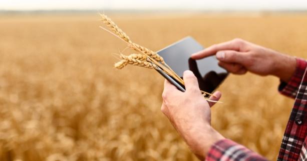 В Україні планують ввести електронні розписки для аграріїв