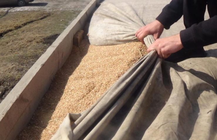 Близько 40% врожаю зернових уникає оподаткування — Качка