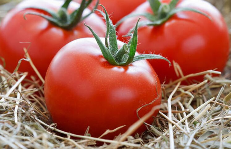 Які добрива необхідні для вирощування помідорів